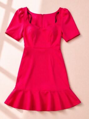 Hot Pink Teacher Dress | Puff Sleeve | Fit & Flare | Size 16 | NWT